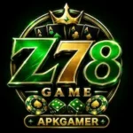 Z78 Game